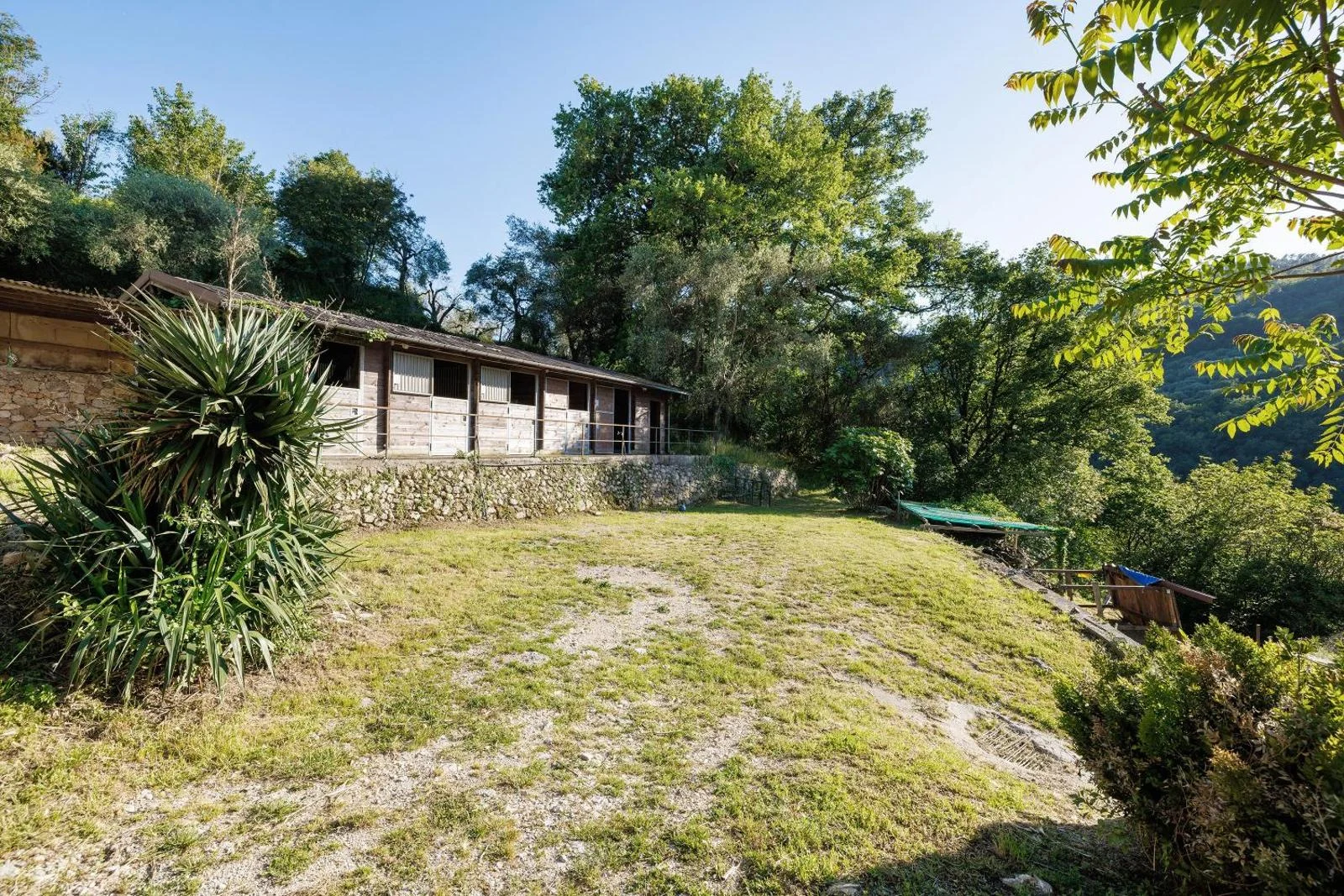 Il giardino di Villa Piuma circondato dagli alberi